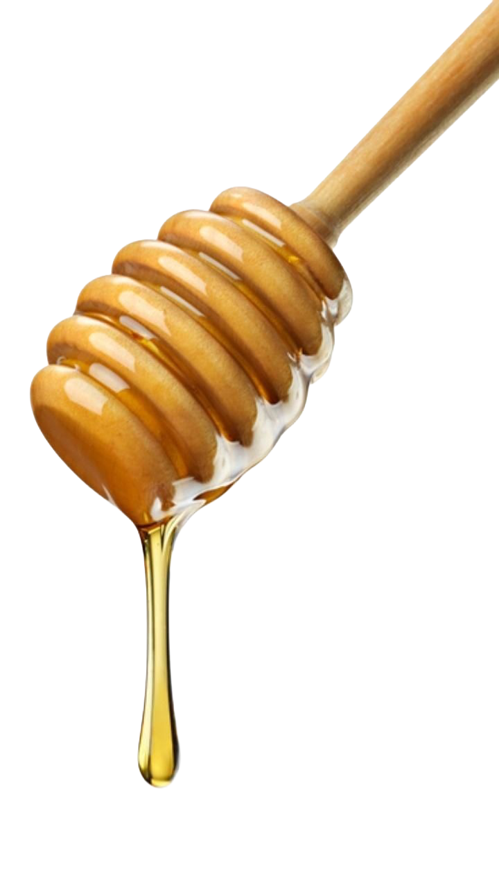 Campaign Development